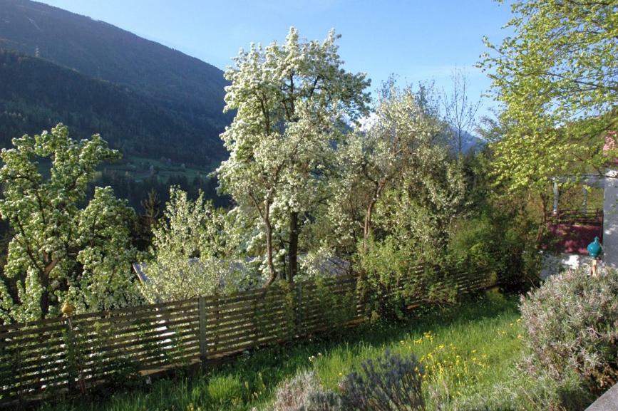 Studio Ualysses Arzl im Pitztal Exterior foto